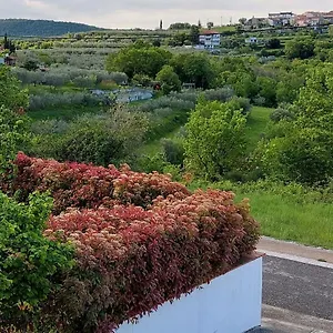 Aliana Sečovlje